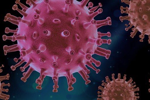 virus-4937553_640